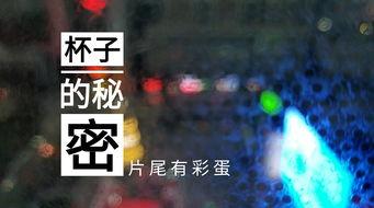 菏泽饭店爆料视频播放网站,揭秘幕后真相，带你走进事件核心